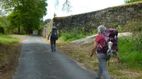 Ook opa's en oma's lopen de Camino. (Wino loopt voorop)